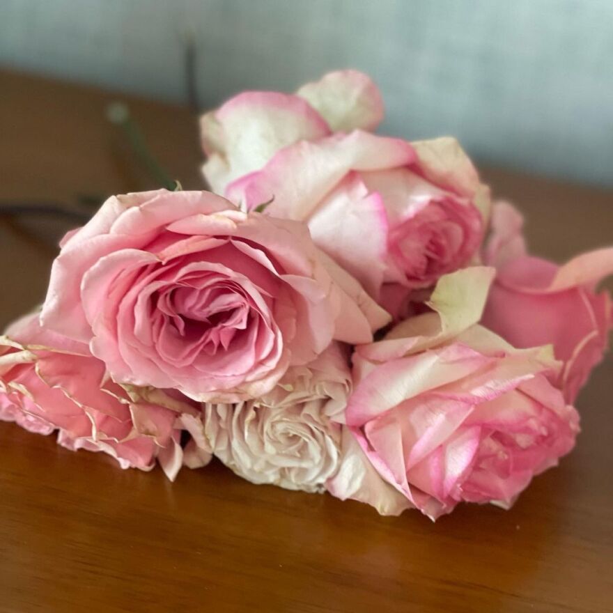 Μπρίτνεϊ Σπίαρς: Οι φωτογραφίες που ανέβασε ο Δημήτρης Γιαννέτος από τον γάμο της