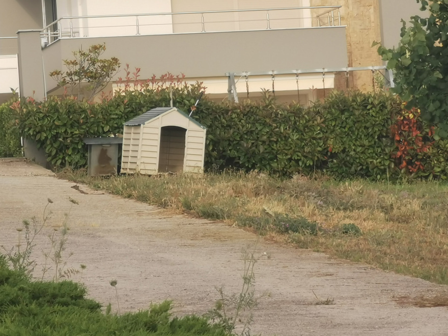 Θεσσαλονίκη: Τρεις μόλις ημέρες πριν από την έφοδο της αστυνομίας οι Βρετανοί είχαν νοικιάσει την πολυτελή βίλα 