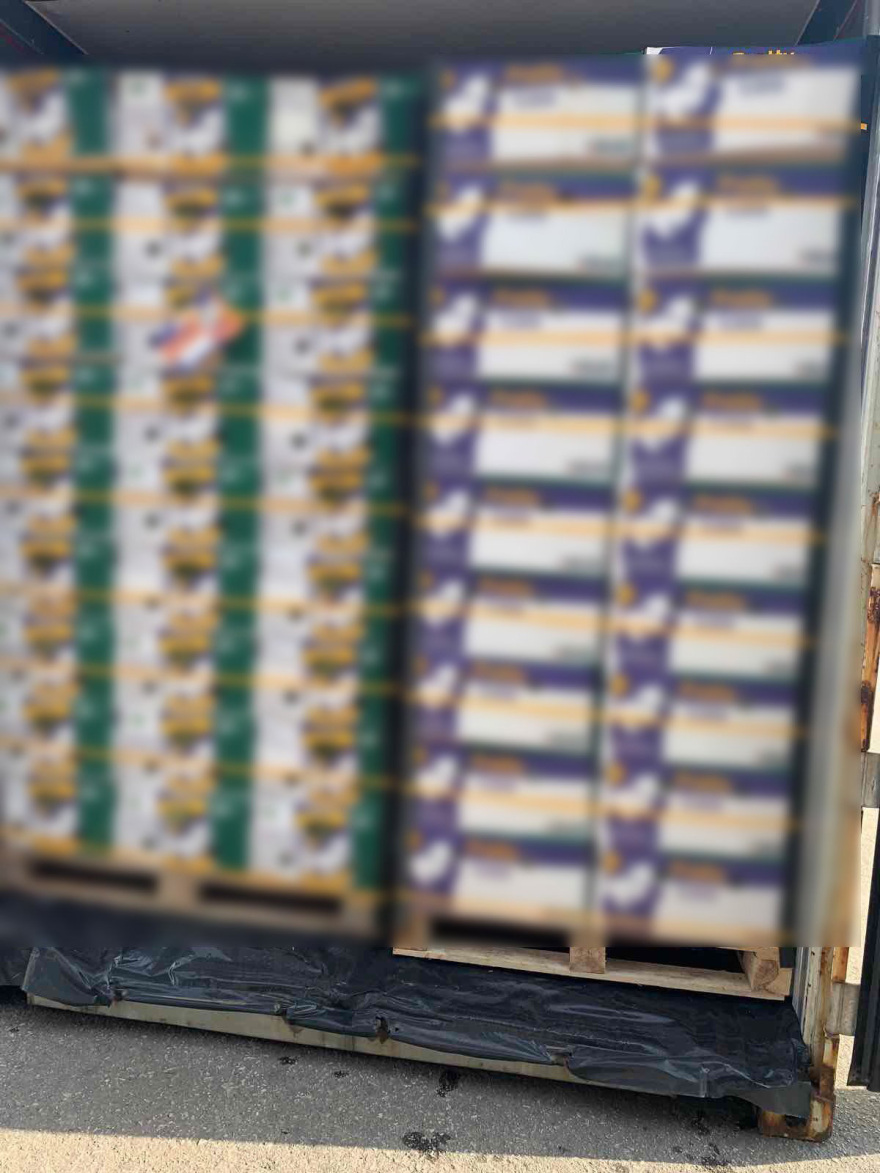 Θεσσαλονίκη: Κατασχέθηκαν 300 κιλά κοκαϊνης μετά από μεγάλη αστυνομική επιχείρηση