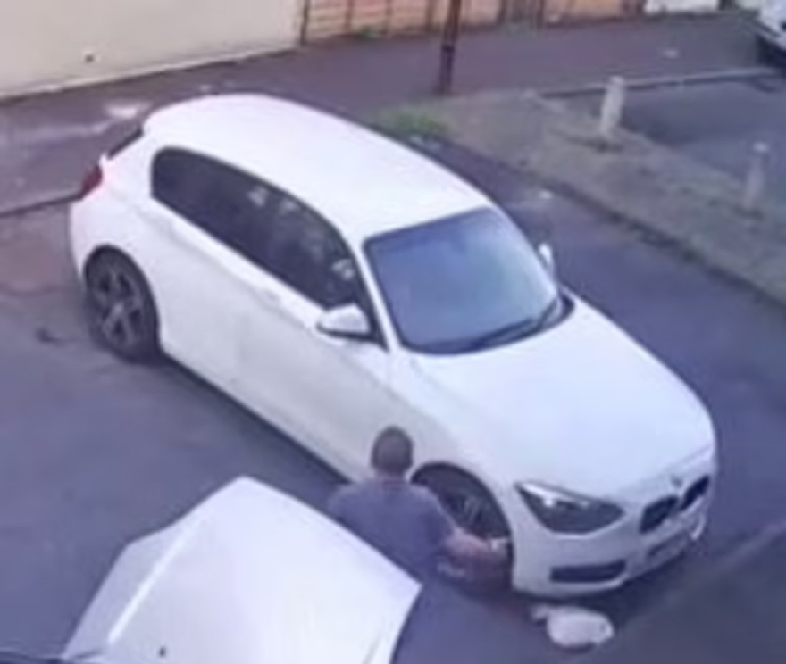 Κακοποίηση ζώου: Οδηγός πατάει γατούλα, βγαίνει από το αυτοκίνητο και γελάει μπροστά στους κηδεμόνες της