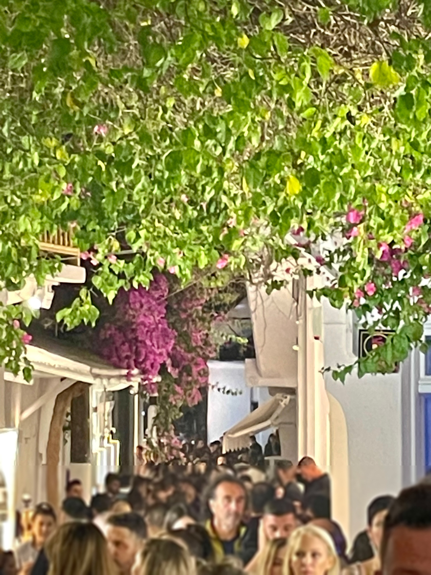 Μύκονος: Το γλέντι του Κουρτουά, οι εντυπωσιακές παρουσίες και η κοσμοπλημμύρα