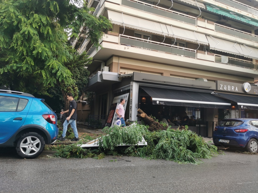 Θεσσαλονίκη: «Φωτιά» στο τηλεφωνικό κέντρο της Πυροσβεστικής μετά το ξαφνικό μπουρίνι - Έπεσαν δέντρα πάνω σε αυτοκίνητα