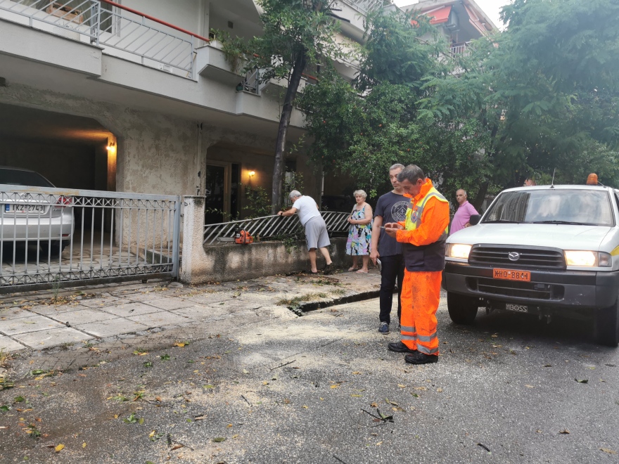 Θεσσαλονίκη: «Φωτιά» στο τηλεφωνικό κέντρο της Πυροσβεστικής μετά το ξαφνικό μπουρίνι - Έπεσαν δέντρα πάνω σε αυτοκίνητα