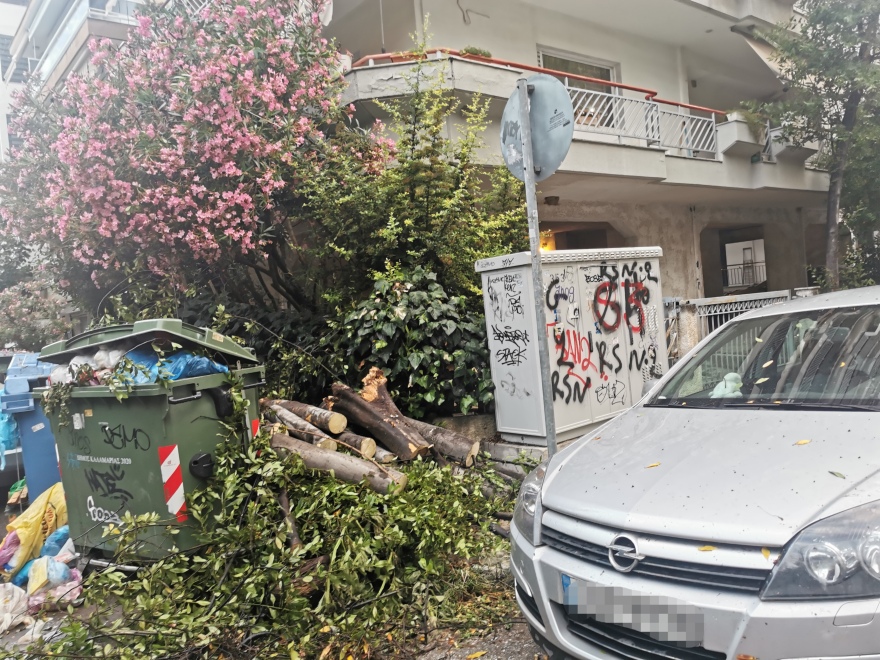 Θεσσαλονίκη: «Φωτιά» στο τηλεφωνικό κέντρο της Πυροσβεστικής μετά το ξαφνικό μπουρίνι - Έπεσαν δέντρα πάνω σε αυτοκίνητα