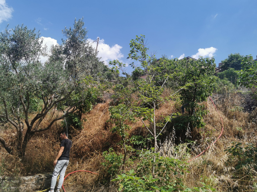 Θεσσαλονίκη: Συναγερμός για δύο ταυτόχρονες φωτιές στις Συκιές - Κάηκαν κάδοι και προκλήθηκαν ζημιές σε ΙΧ