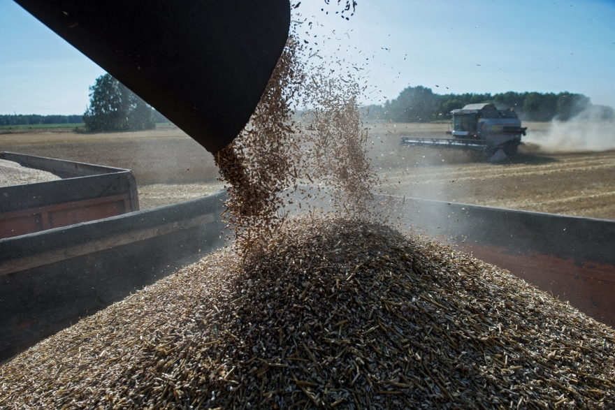 Οι Ρώσικες νάρκες μπλοκάρουν το Ουκρανικό σιτάρι