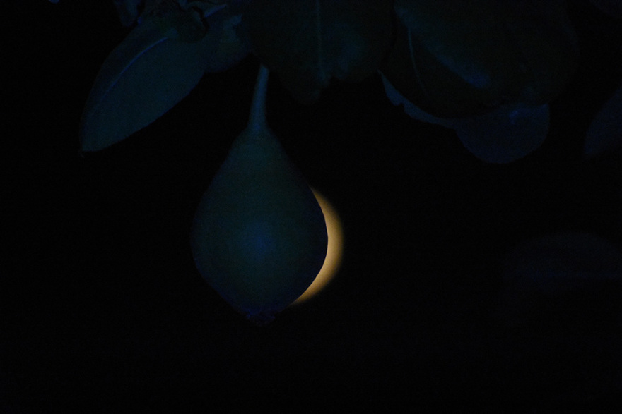 Εντυπωσιακές εικόνες από την «πανσέληνο της φράουλας», την πρώτη του καλοκαιριού