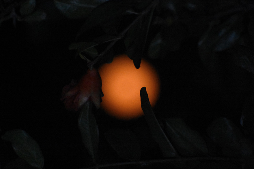 Εντυπωσιακές εικόνες από την «πανσέληνο της φράουλας», την πρώτη του καλοκαιριού