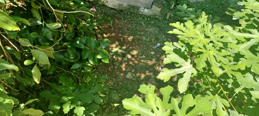 Παγκράτι: Δεν μπορεί να συνέλθει από το σοκ η γειτόνισσα της 36χρονης που έπεσε από το μπαλκόνι - Το χρονικό της τραγωδίας