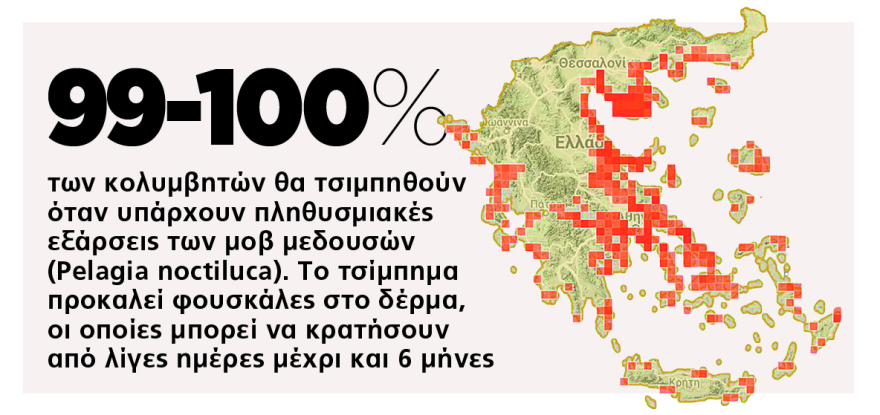 Το χτύπημα της μέδουσας: Σε ποιες παραλίες έχουν στήσει καρτέρι