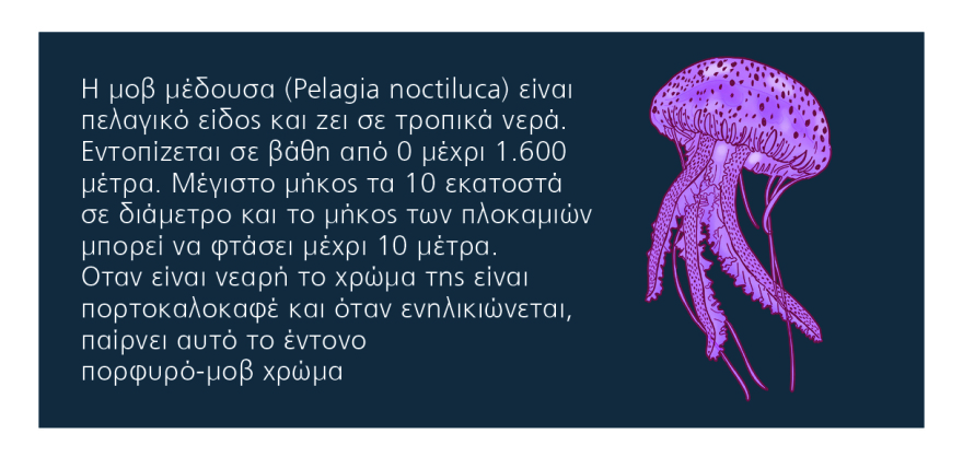 Το χτύπημα της μέδουσας: Σε ποιες παραλίες έχουν στήσει καρτέρι