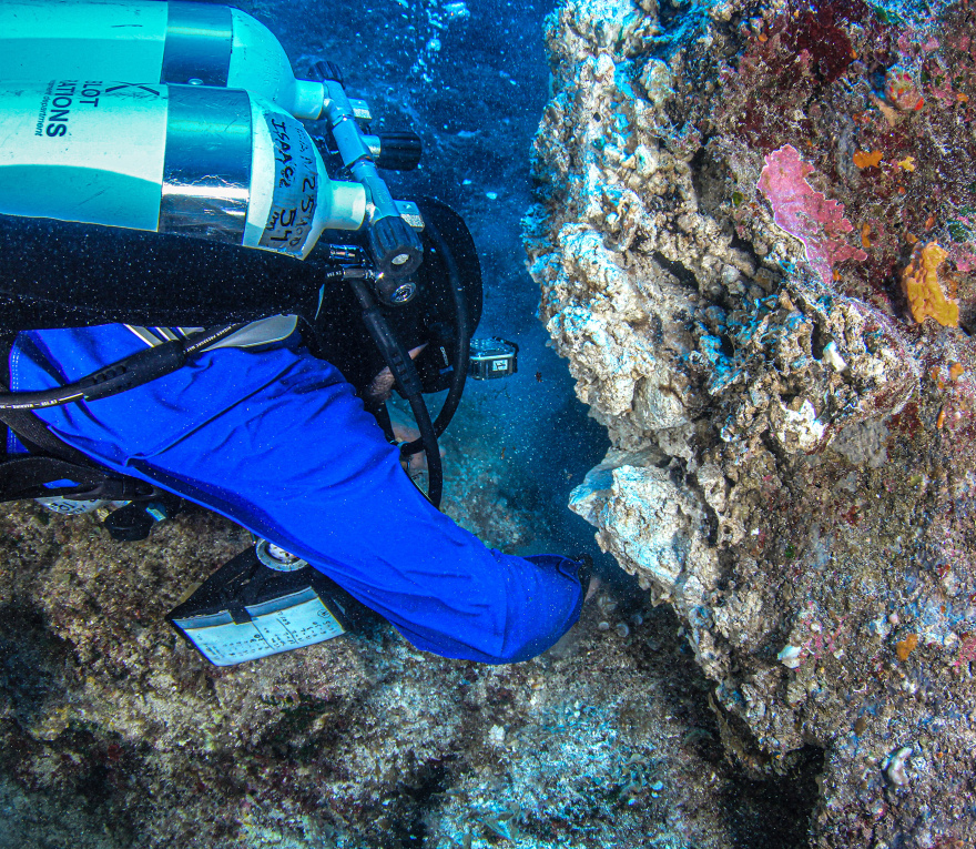 Ναυάγιο Αντικυθήρων: Εντυπωσιακά τα νέα ευρήματα της υποβρύχιας αρχαιολογικής έρευνας