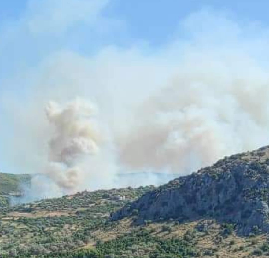 Υπό έλεγχο η φωτιά στην Εύβοια
