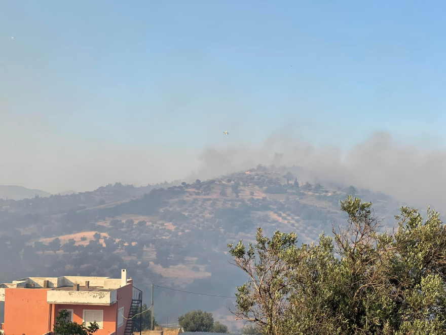 Υπό έλεγχο η φωτιά στην Εύβοια