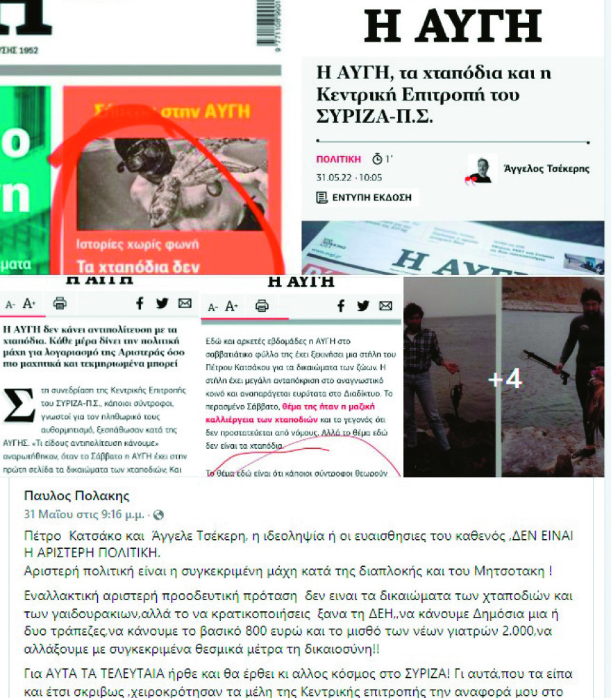 To «IQ χταποδιού» που έβαλε φωτιές στη διατροφή και την πολιτική