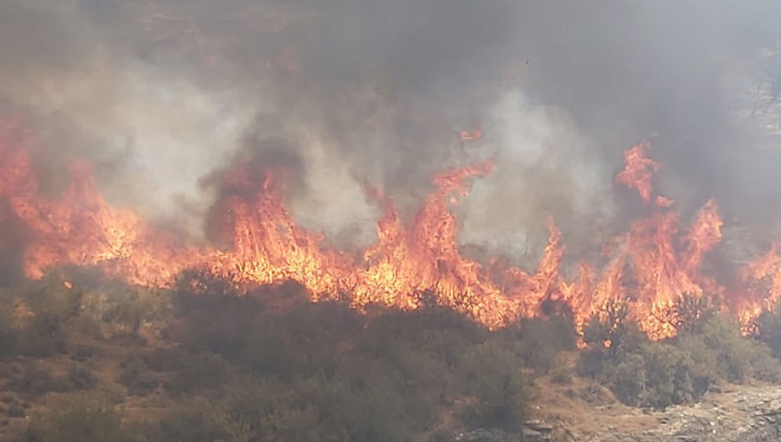 Μεγάλη φωτιά στα Κατεχόμενα - Αεροσκάφη στέλνει η Κύπρος 
