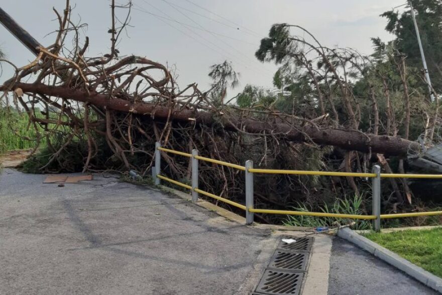 Ξάνθη: Καταστροφές σε εποχικές καλλιέργειες από τη χθεσινή θεομηνία - Στο σκοτάδι «βυθίστηκαν» πολλά χωριά