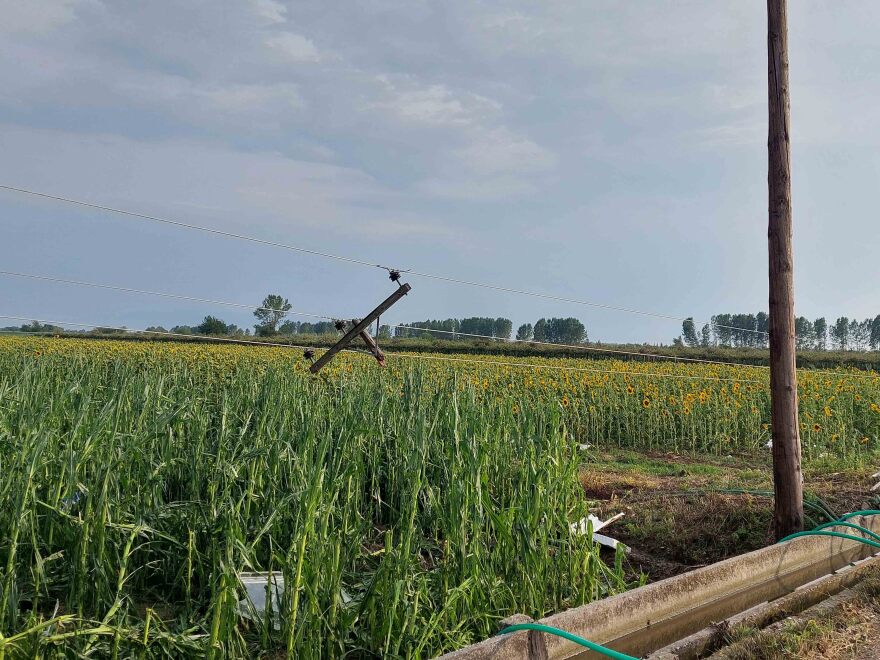 Ξάνθη: Καταστροφές σε εποχικές καλλιέργειες από τη χθεσινή θεομηνία - Στο σκοτάδι «βυθίστηκαν» πολλά χωριά