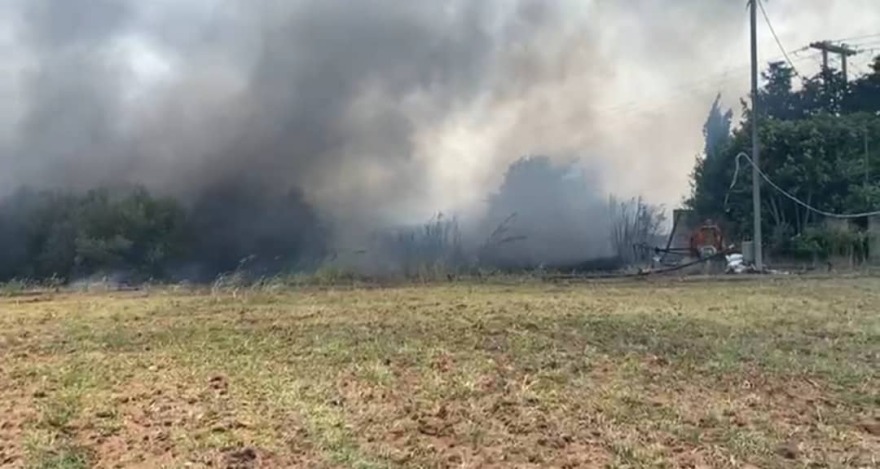 Φωτιά στον Αλμυρό Βόλου - Συναγερμός στην Πυροσβεστική 