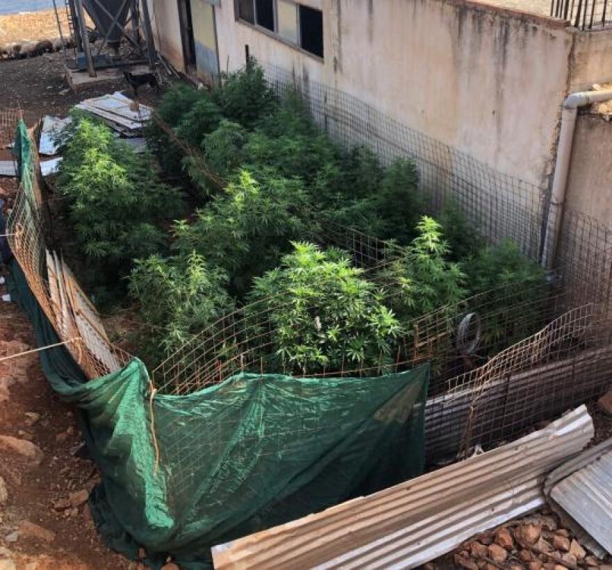 Μυλοπόταμος: Καλάσνικοφ, εκρηκτικά, χασισοφυτεία και 16 κιλά κάνναβης!