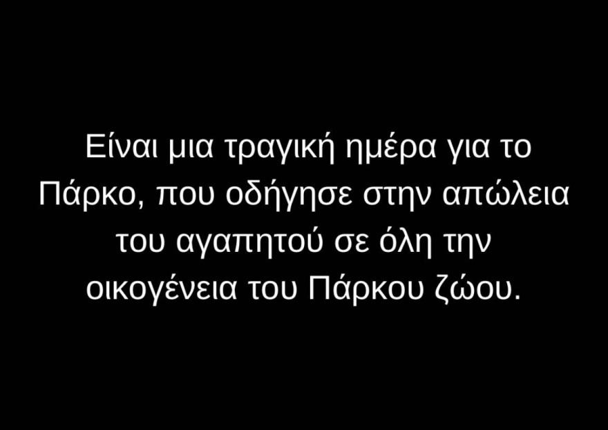 Αττικό Ζωολογικό Πάρκο: Σκότωσαν χιμπατζή που διέφυγε - Σφοδρές αντιδράσεις στο Twitter