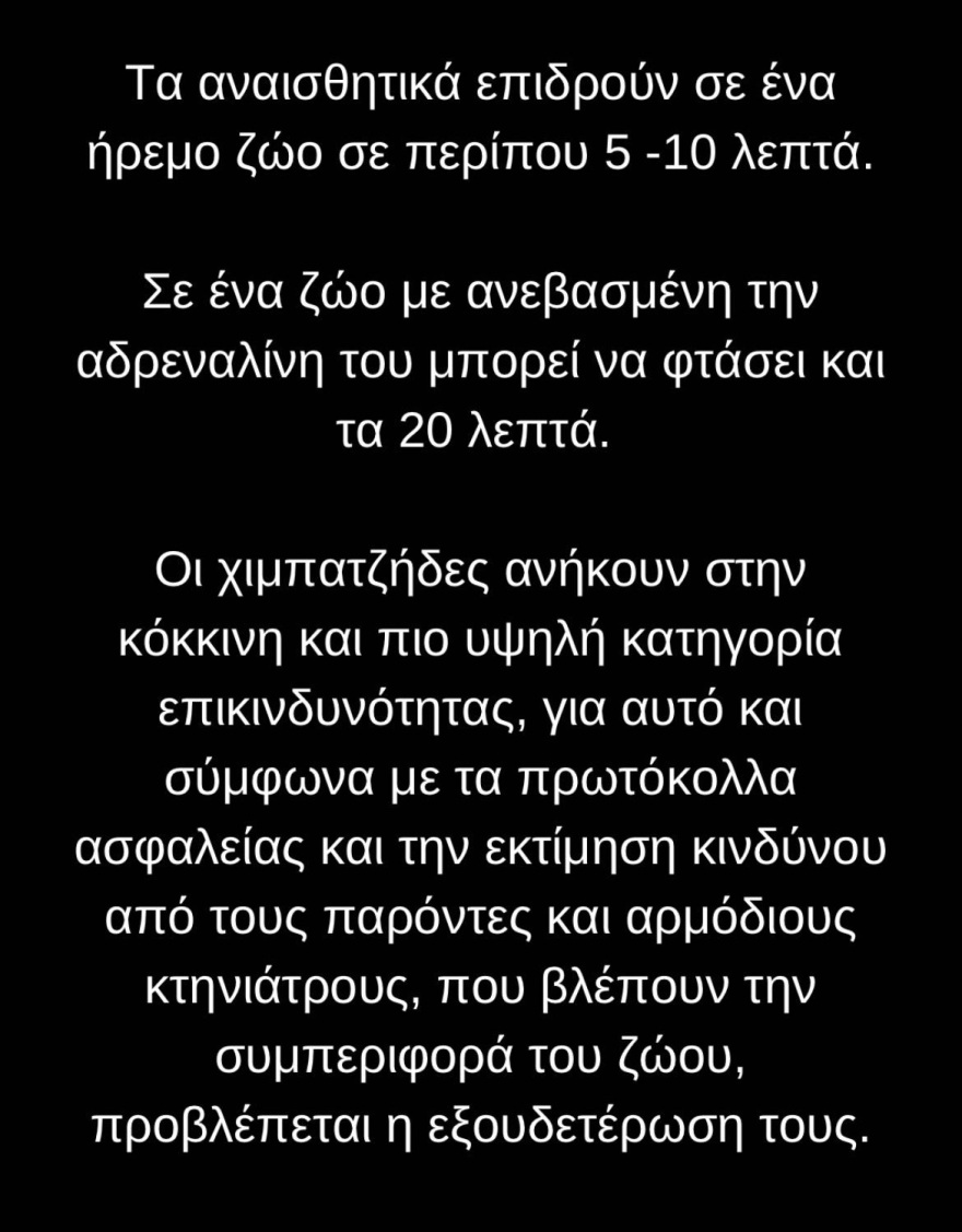 Αττικό Ζωολογικό Πάρκο: Σκότωσαν χιμπατζή που διέφυγε - Σφοδρές αντιδράσεις στο Twitter