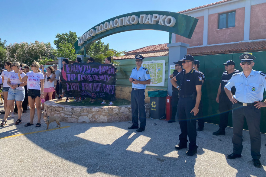 Αττικό Ζωολογικό Πάρκο: Διαμαρτυρία για τη θανάτωση του χιμπατζή - Δείτε βίντεο και φωτογραφίες