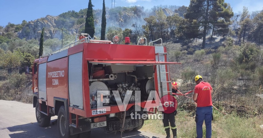 Εύβοια: Πυρκαγιά σε δασική έκταση στο Αλιβέρι