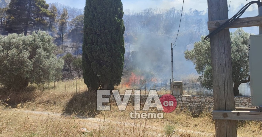 Εύβοια: Πυρκαγιά σε δασική έκταση στο Αλιβέρι