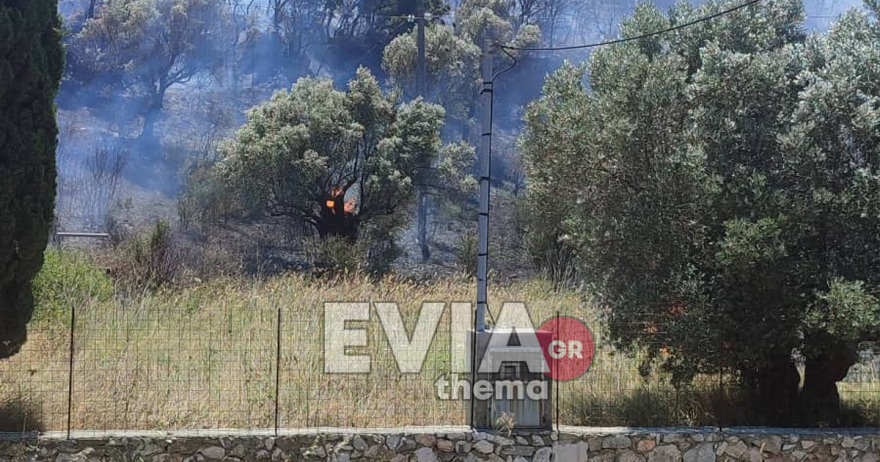 Εύβοια: Πυρκαγιά σε δασική έκταση στο Αλιβέρι