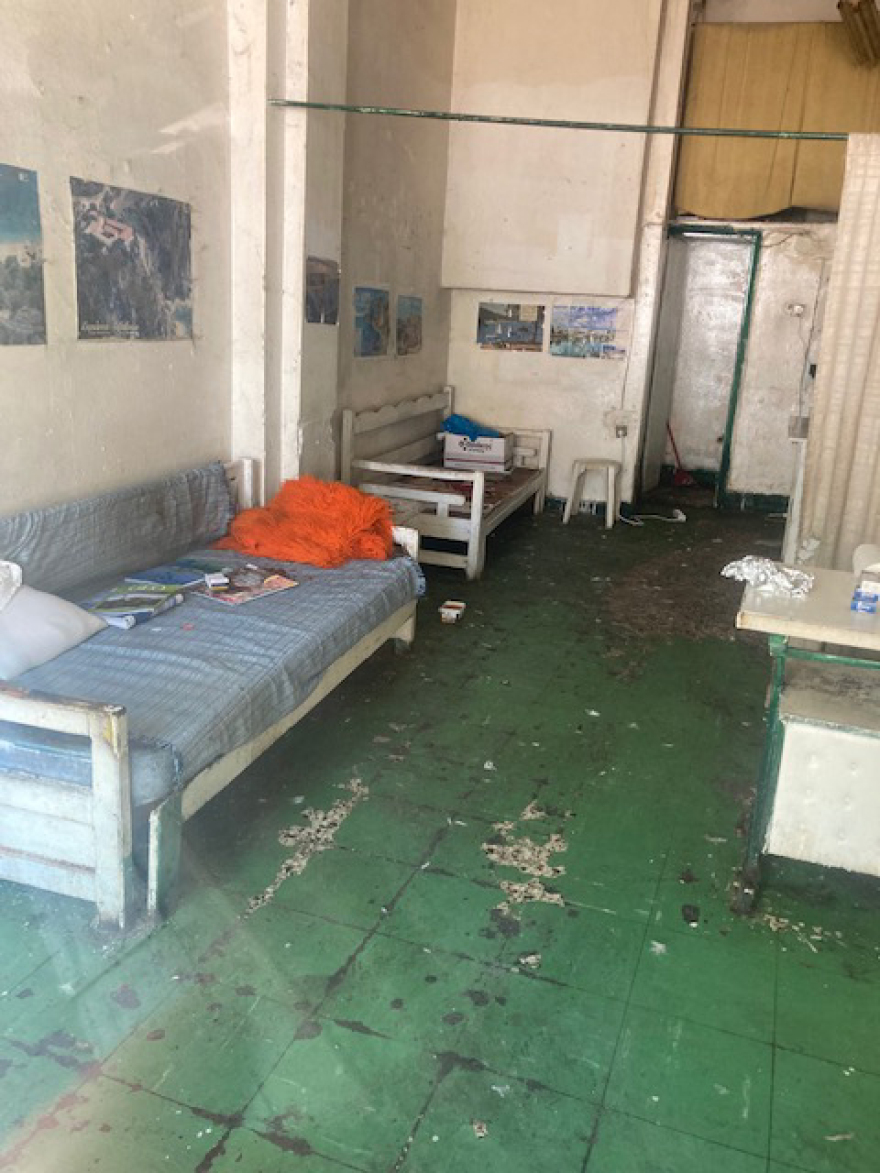 Θεσσαλονίκη: Καταγγελίες για ακατάλληλες συνθήκες και αμέλεια περίθαλψης σε κτηνιατρείο - Τι απαντά ο γιατρός