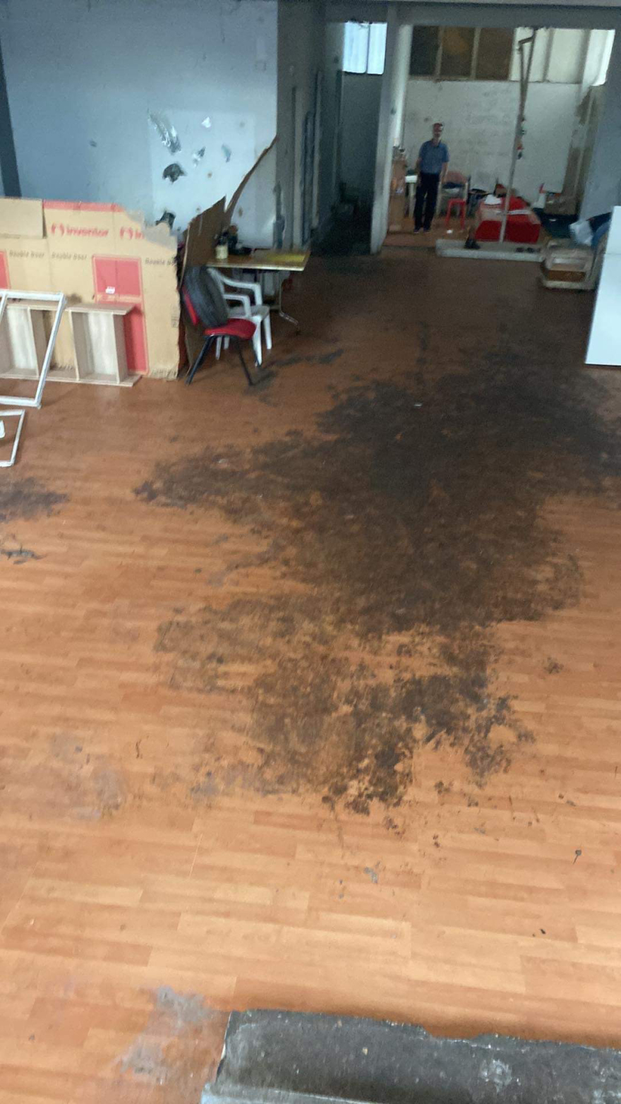 Θεσσαλονίκη: Καταγγελίες για ακατάλληλες συνθήκες και αμέλεια περίθαλψης σε κτηνιατρείο - Τι απαντά ο γιατρός