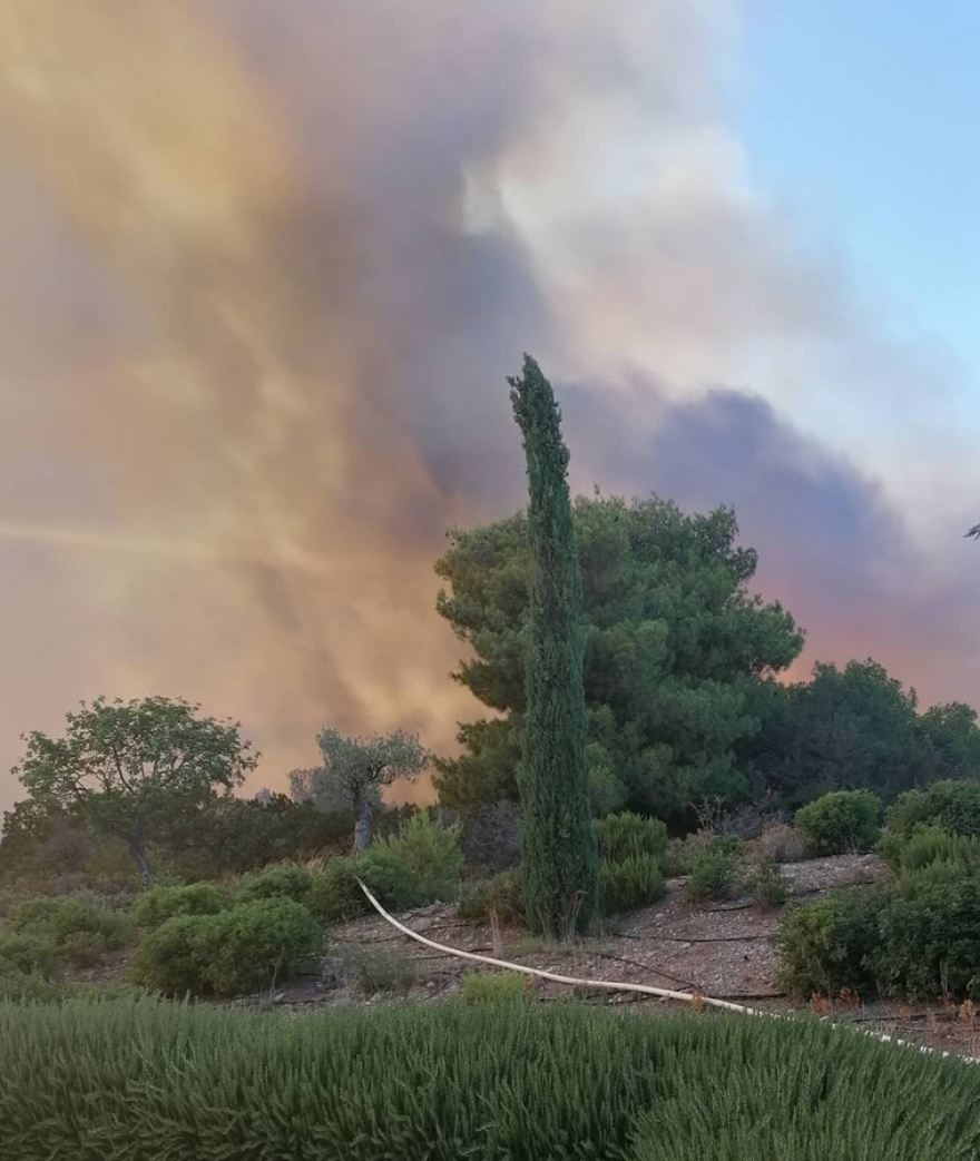 Αργολίδα: Από βραχυκύκλωμα η φωτιά στο Κρανίδι - Συνελήφθησαν δύο άνδρες που έκαναν ρευματοκλοπή από το Amanzoe