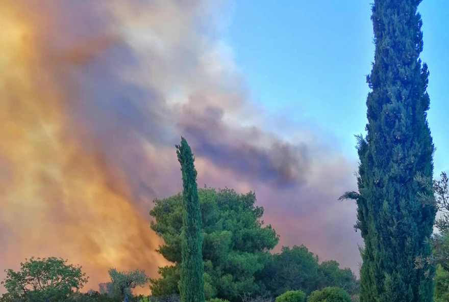 Αργολίδα: Από βραχυκύκλωμα η φωτιά στο Κρανίδι - Συνελήφθησαν δύο άνδρες που έκαναν ρευματοκλοπή από το Amanzoe