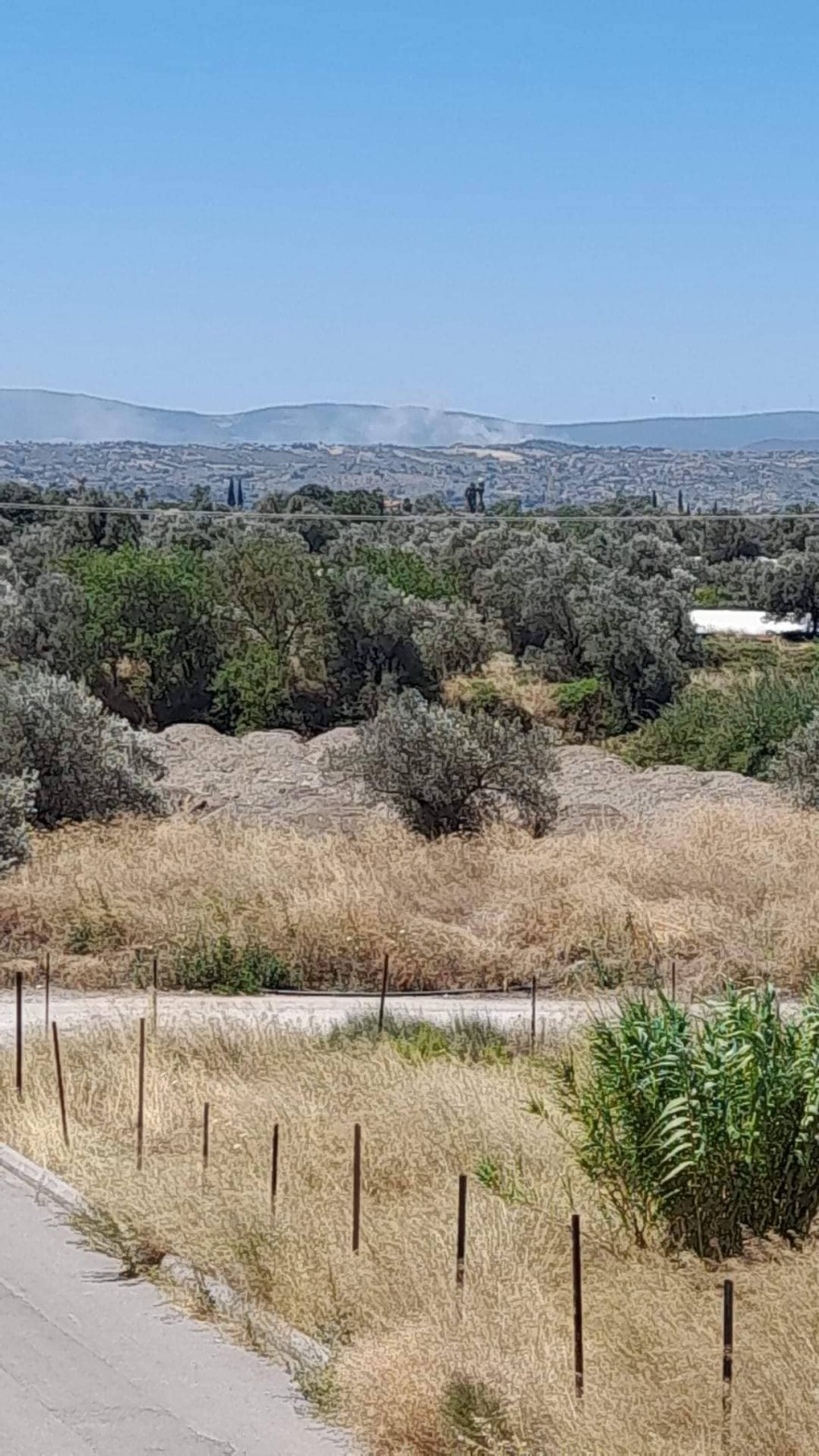 Φωτιές: Πύρινα μέτωπα σε Ιτέα και Κρανίδι - Στη μάχη τα εναέρια μέσα 