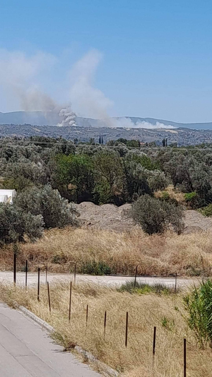 Μεγάλη φωτιά στο Σχηματάρι Βοιωτίας