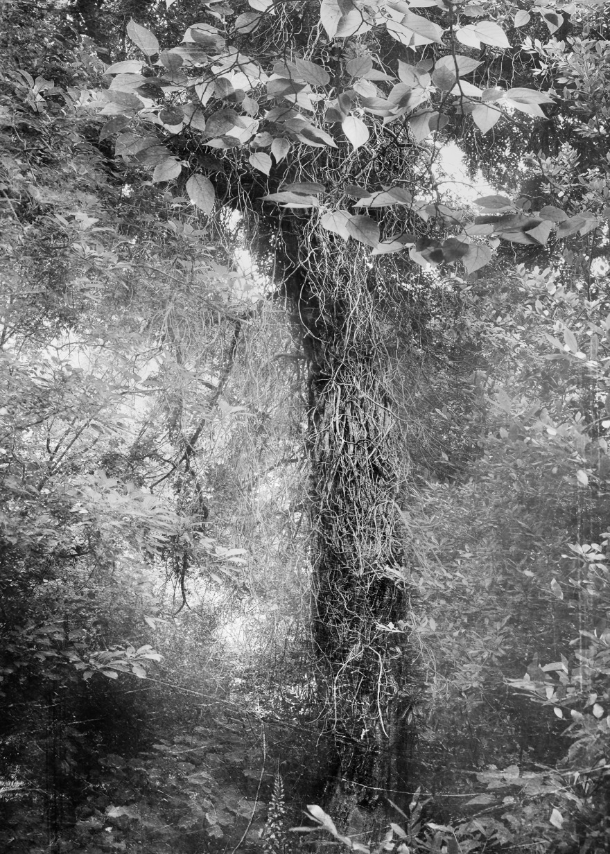 «Σταύρος Χαρισόπουλος: Common Factor» στο Χώρο Τέχνης της Εθνικής Ασφαλιστικής «ΣΤΟart ΚΟΡΑΗ»