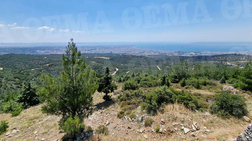 Περιπολία με τους άγρυπνους φρουρούς του Σέιχ Σου - Εθελοντές νυχθημερόν στην πυροπροστασία του δάσους