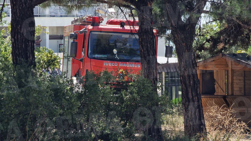 Περιπολία με τους άγρυπνους φρουρούς του Σέιχ Σου - Εθελοντές νυχθημερόν στην πυροπροστασία του δάσους