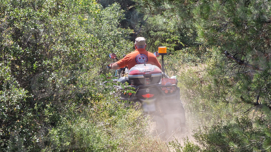 Περιπολία με τους άγρυπνους φρουρούς του Σέιχ Σου - Εθελοντές νυχθημερόν στην πυροπροστασία του δάσους