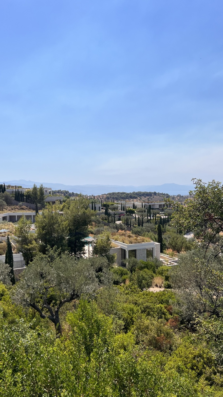 Αργολίδα: Από βραχυκύκλωμα η φωτιά στο Κρανίδι - Συνελήφθησαν δύο άνδρες που έκαναν ρευματοκλοπή από το Amanzoe