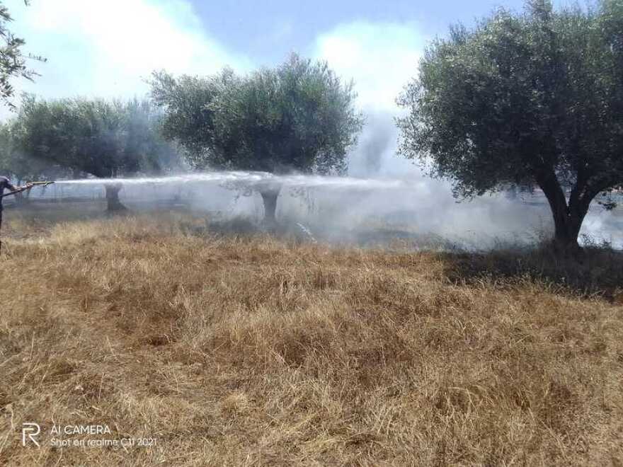 Φωτιά τώρα σε δασική έκταση στο Καλαμάκι Αχαΐας