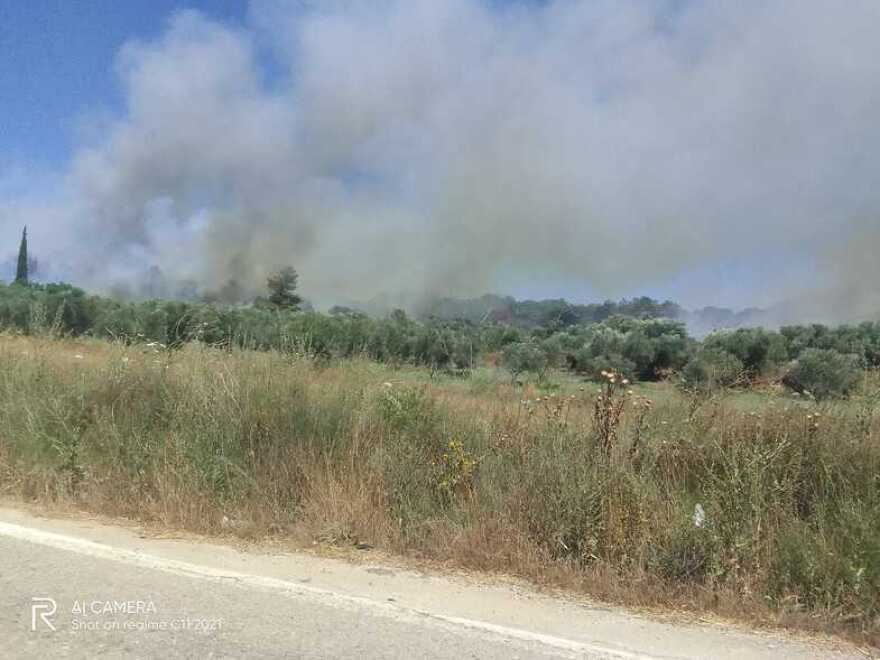 Φωτιά τώρα σε δασική έκταση στο Καλαμάκι Αχαΐας