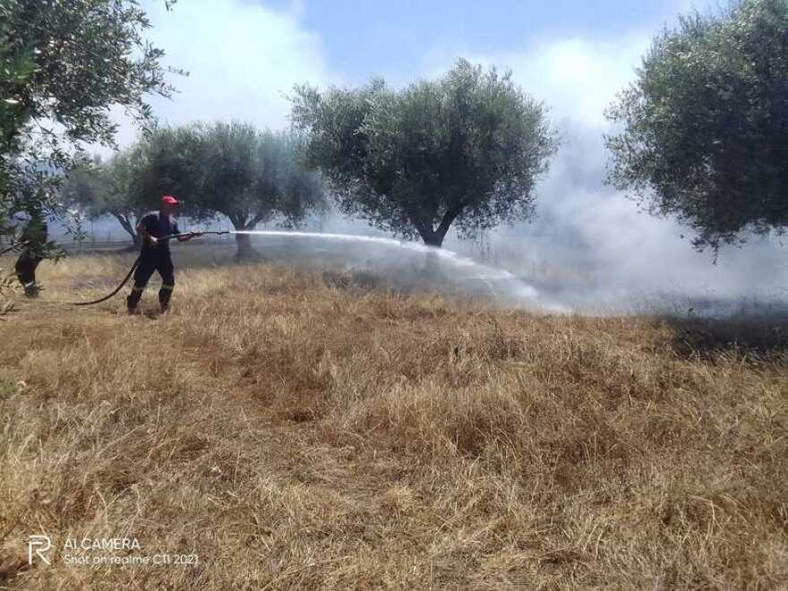 Φωτιά τώρα σε δασική έκταση στο Καλαμάκι Αχαΐας
