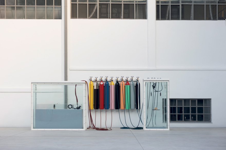 Δημήτρης Δασκαλόπουλος: Ο μεγάλος συλλέκτης και η δωρεά-μαμούθ