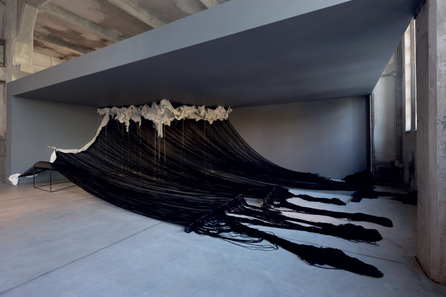 Δημήτρης Δασκαλόπουλος: Ο μεγάλος συλλέκτης και η δωρεά-μαμούθ