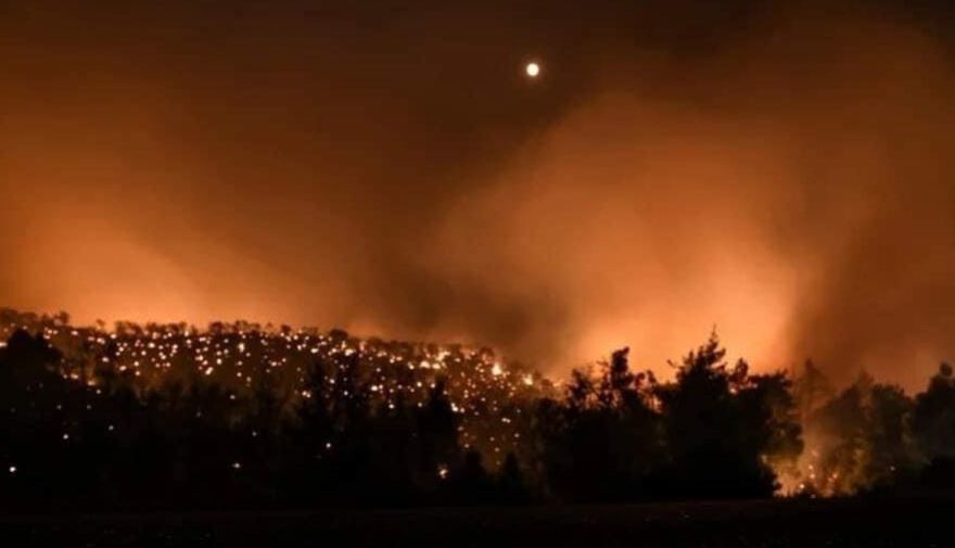 Φωτιά-Άμφισσα: Καταστροφές στον παραδοσιακό ελαιώνα - Έχουν καεί 3.000 στρέμματα 