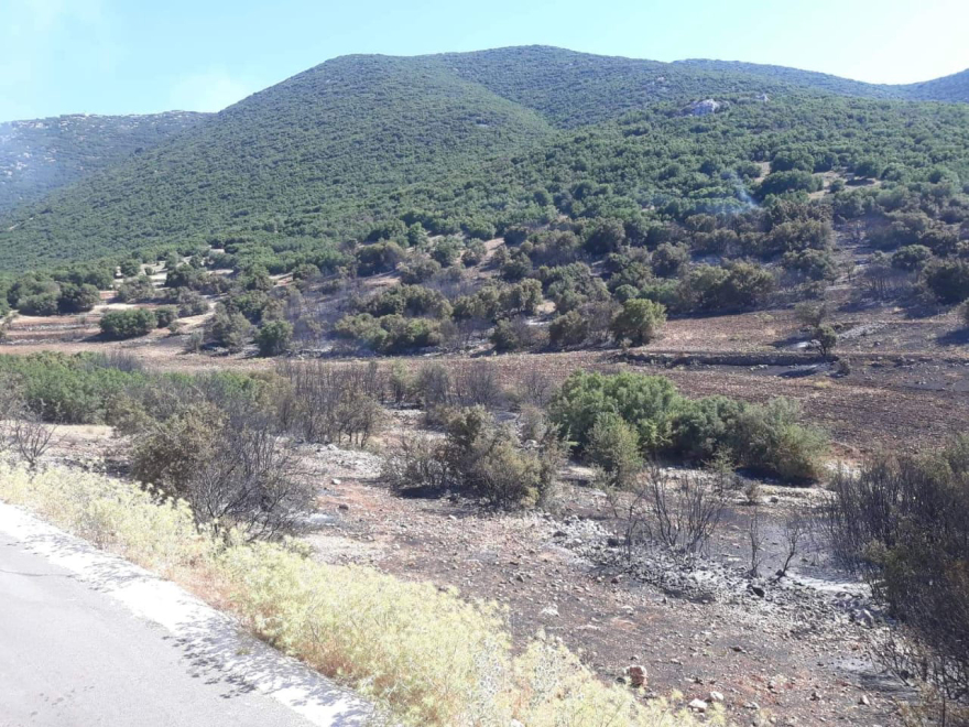 Υπό έλεγχο η φωτιά στον Άγιο Γιάννη Κορινθίας - Είχε ξεσπάσει ανάμεσα σε Άργος και Σοφικό