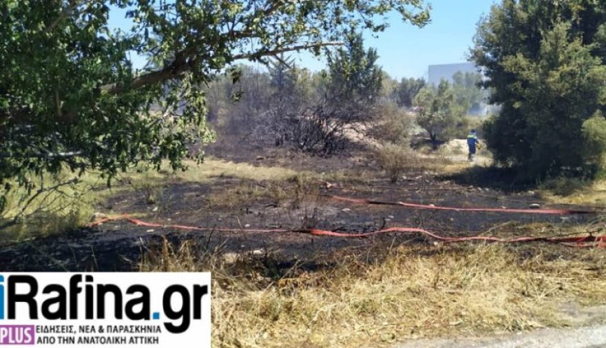 Υπό μερικό έλεγχο η φωτιά στη λεωφόρο Μαραθώνος