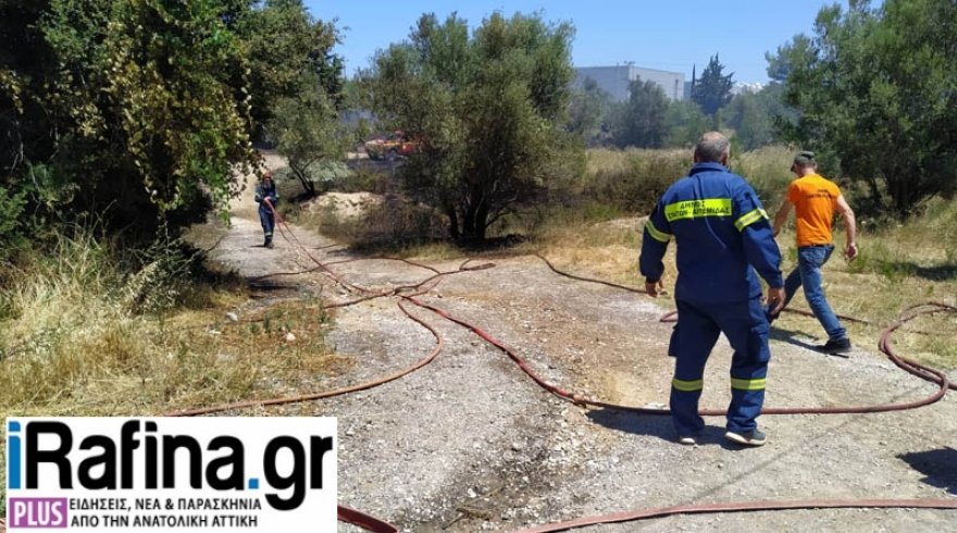 Υπό μερικό έλεγχο η φωτιά στη λεωφόρο Μαραθώνος